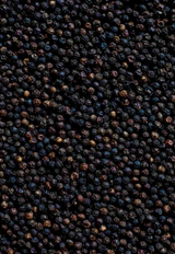 Aranya Black Pepper - The Feedfeed Shop