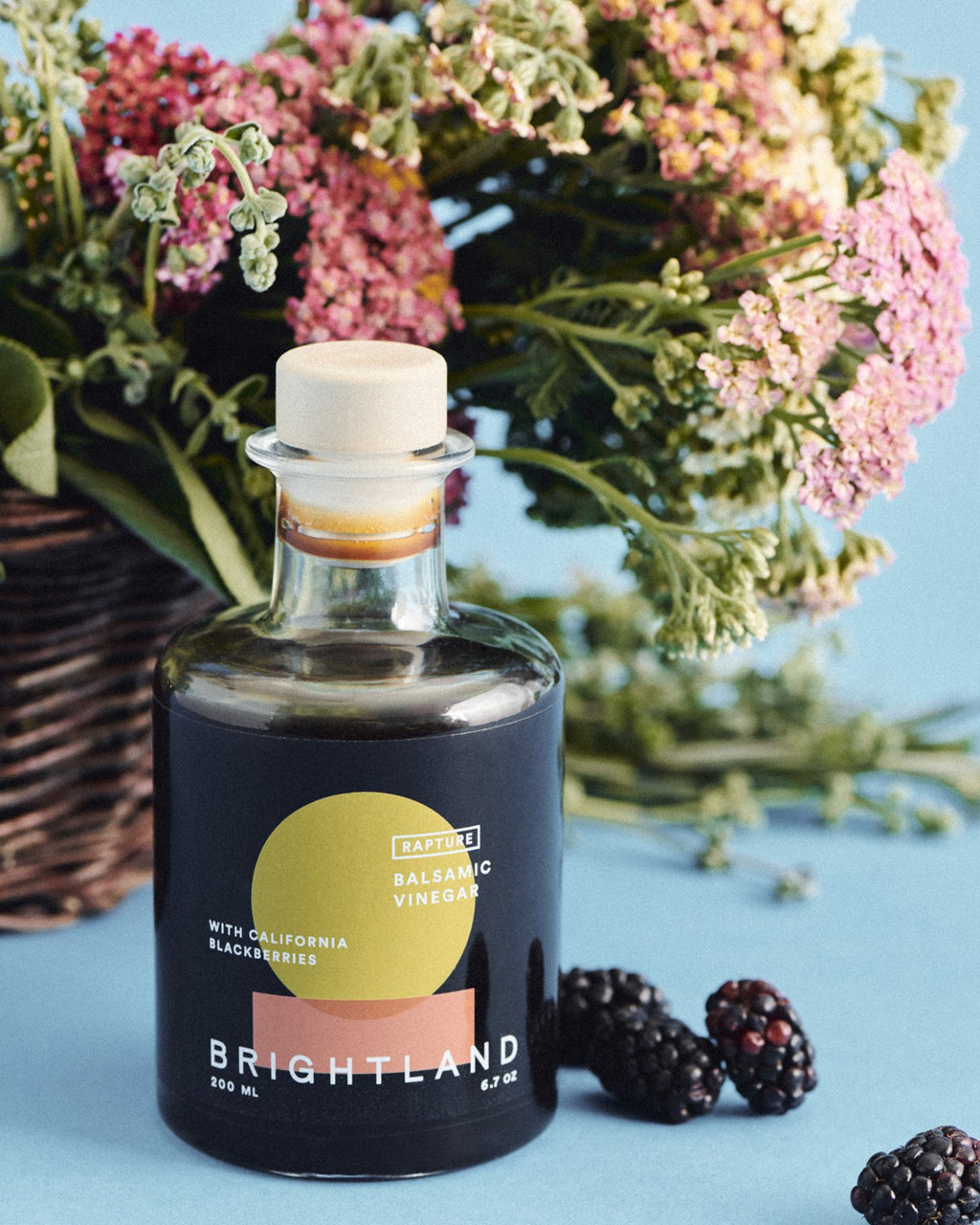 RAPTURE Raw Balsamic Vinegar – The Feedfeed Shop